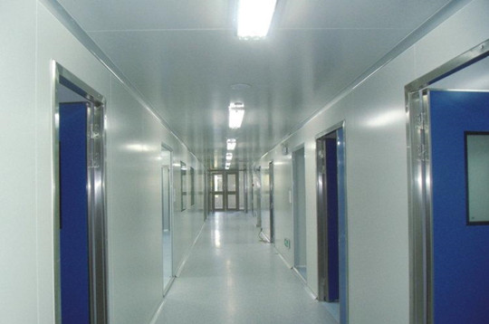 �����ྻ����